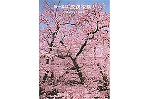 第15回　成蹊桜祭パンフレット