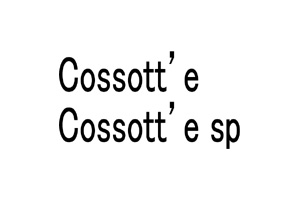 Cossott'e(コソっと)・Cossott'e sp(コソっとエスピー)　津崎知穂さん(経・59年)