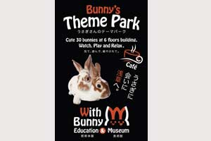 Bunny's Theme Park With Bunny 浅草店　川岡智之さん(法・平23年)