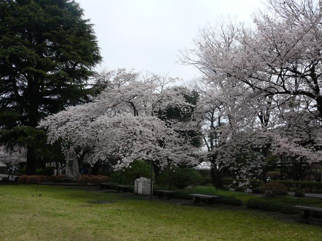 トラスコン前