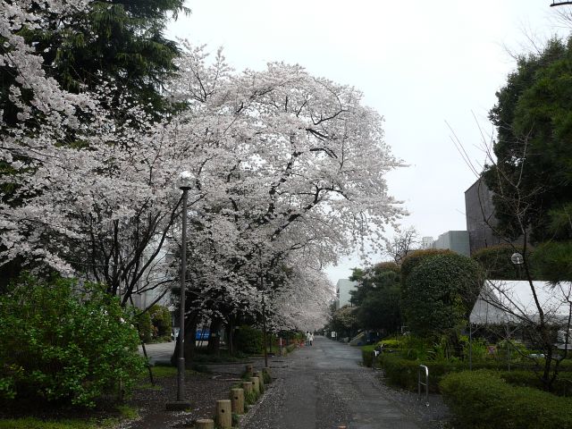 学生会館前