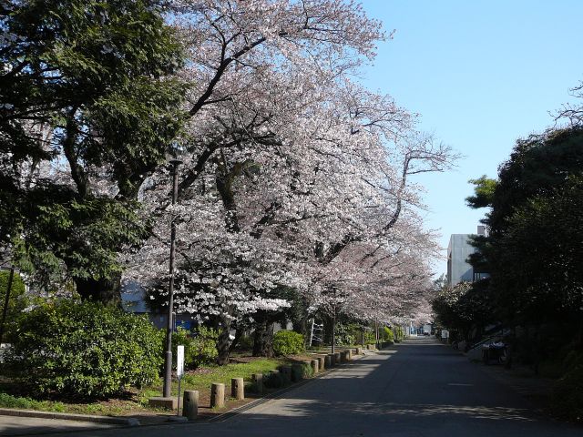 学生会館前