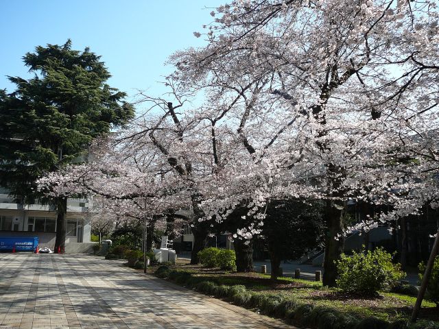 学生会館前