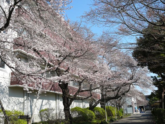 小学校グランド前