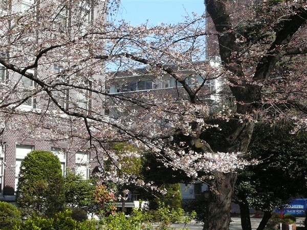 学生会館前