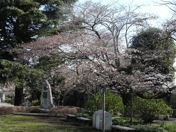 トラスコン前